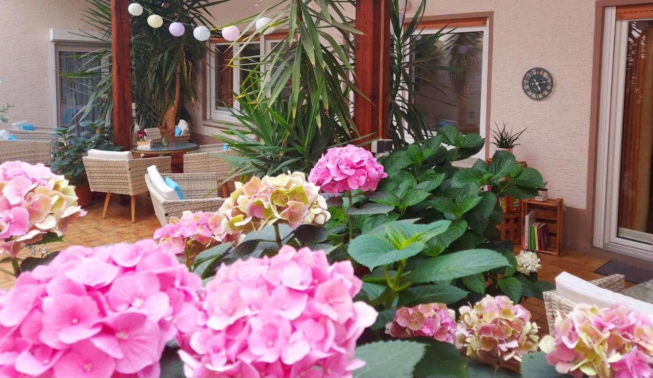 Gaestehaus Roehm Ilbesheim bei Landau in der Pfalz Εξωτερικό φωτογραφία